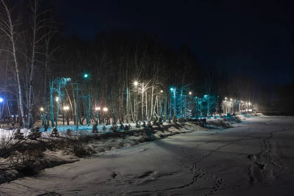 Park - kış manzarası, yumuşak sessiz akşam işleme odaklanmak
