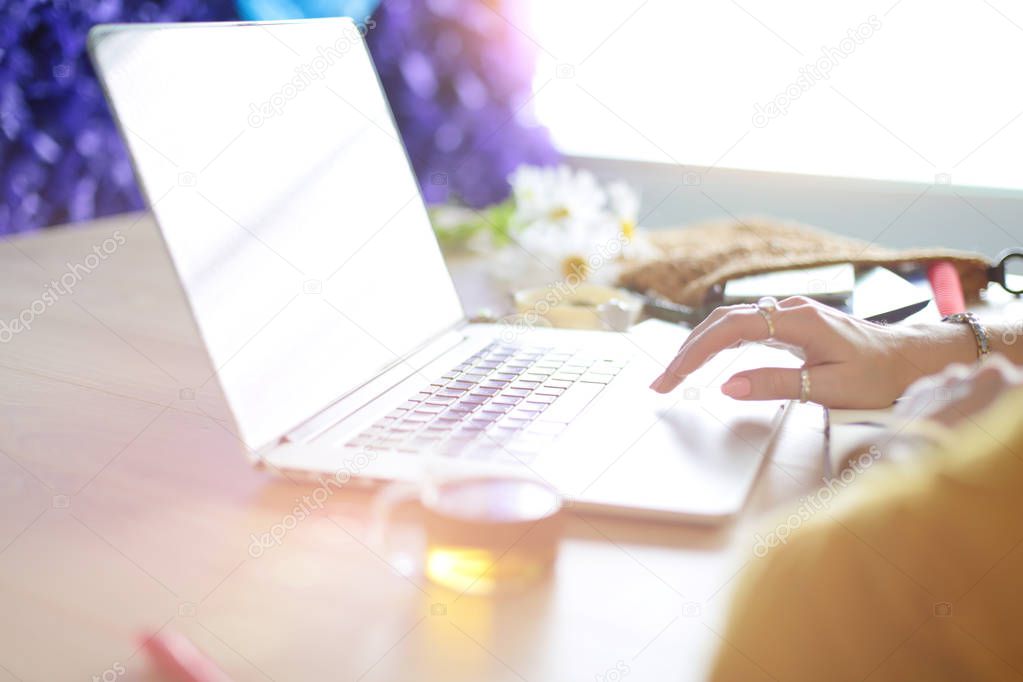 Young woman holding credit card and using laptop computer. Online shopping concept