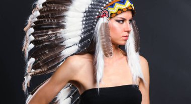 Beautiful woman in native american costume with feathers clipart