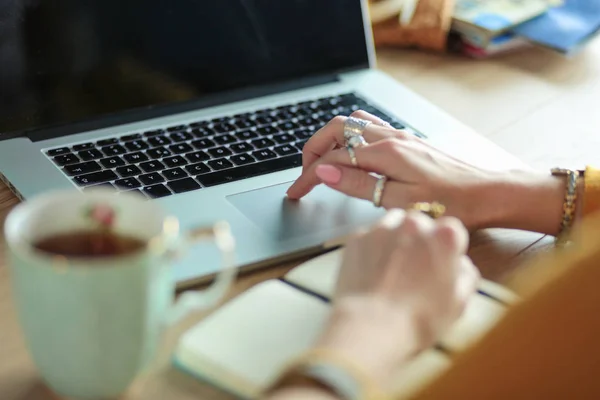 Junge Frau mit Kreditkarte und Laptop. Online-Shopping-Konzept — Stockfoto