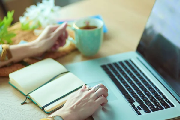 Junge Frau mit Kreditkarte und Laptop. Online-Shopping-Konzept — Stockfoto