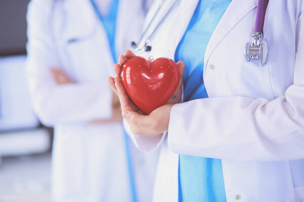 Cropped shoot of two young doctors female with stethoscope holding heart.