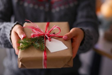 Noel hediye kutusu tutan kadın elleri. Noel