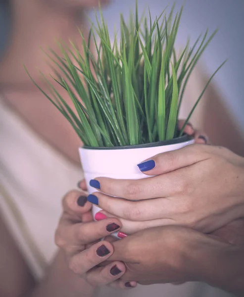 Belle femme tenant pot avec une plante — Photo