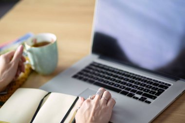 Genç bir kadın kahve molasında ya da kahve molasında dizüstü bilgisayar kullanıyor..