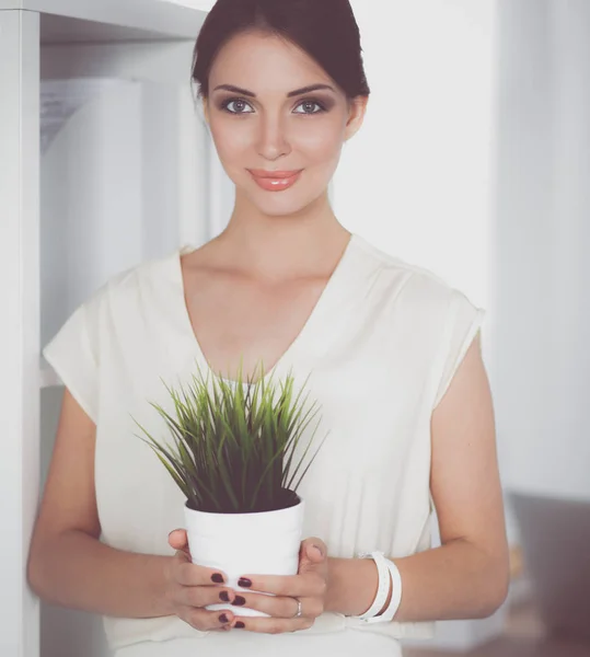 Hermosa mujer sosteniendo la olla con una planta — Foto de Stock