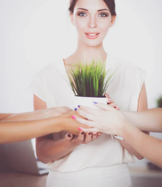Schöne Frau im Topf mit einer Pflanze — Stockfoto