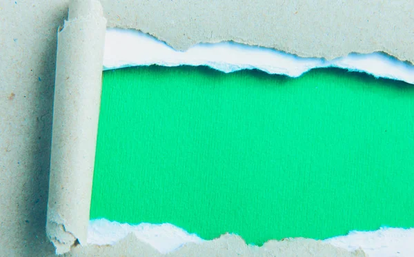 Strappi la carta verde e lo sfondo bianco — Foto Stock