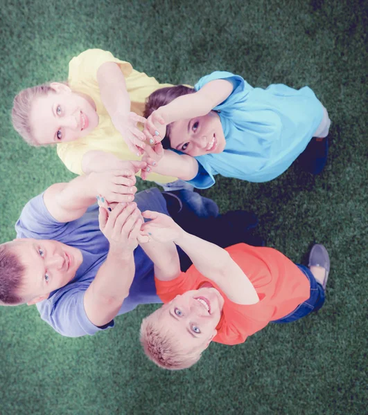 Group of young people sitting on green grass. Selfie — Stock Photo, Image