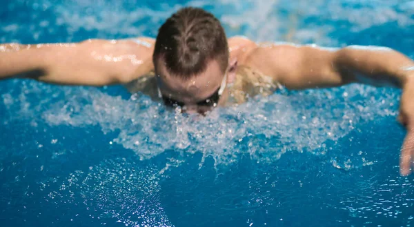 Male swimmer at the swimming pool. Underwater photo. Male swimmer. Royalty Free Stock Images