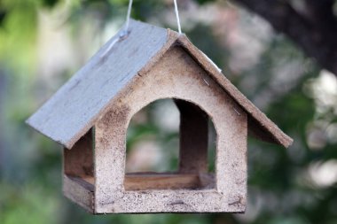 ağaç ahşap kuş Besleyici.