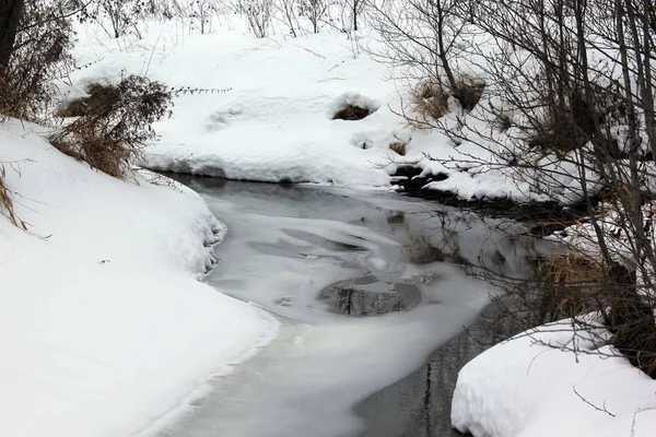 Buzlu nehir orman.