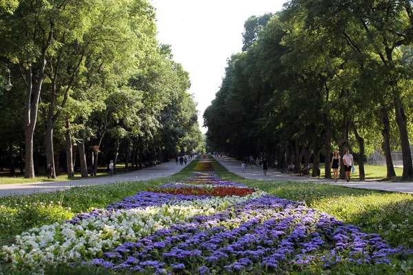 Alley with flower beds in the Park.