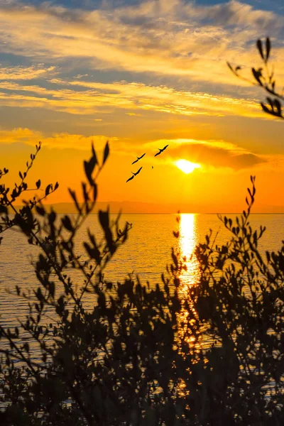 Sunset over sea in Greece island — Stock Photo, Image