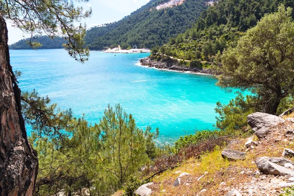 Sommerurlaub Hintergrund mit türkisfarbener Meerwasserbucht, Brunnen, Kiefern — Stockfoto