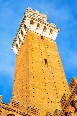 Kule Torre del Mangia Siena, İtalya