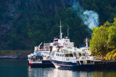 Norveç Köyü ve fiyort peyzaj Flam