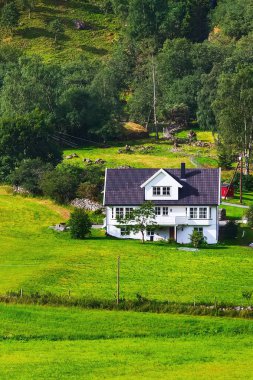 Norveç köy evi manzara