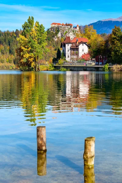 Озеро Блед и замок осенью, Словения — стоковое фото