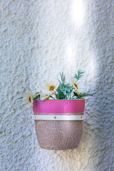 Wisząca doniczka z rośliny różowy na białej ścianie — Zdjęcie stockowe