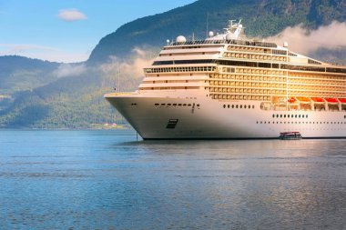 Norveç fiyordu ve cruise gemi
