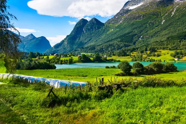 Norwegische Nordfjord-Dorflandschaft — Stockfoto