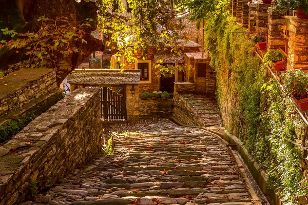 Sokak ve kafe Pelion, Yunanistan Makrinitsa köyde görüntülemek