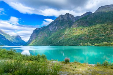 Norveç fiyordu ve buzul manzarası