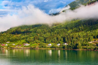 Norveç fiyort köyü manzarası