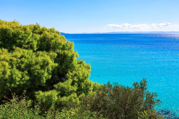 Griechenland türkis Meer Wasser Bucht, Kiefer — Stockfoto