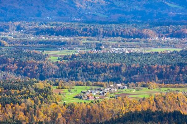 Деревня, осенний лес и луга, Словения — стоковое фото