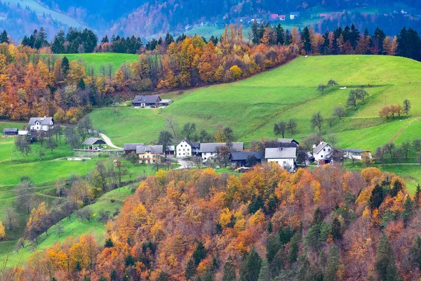 Село, осінній ліс і Луки, Словенія — стокове фото