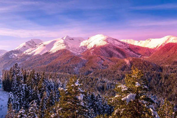 Färgsprakande solnedgång i snö berg skog — Stockfoto