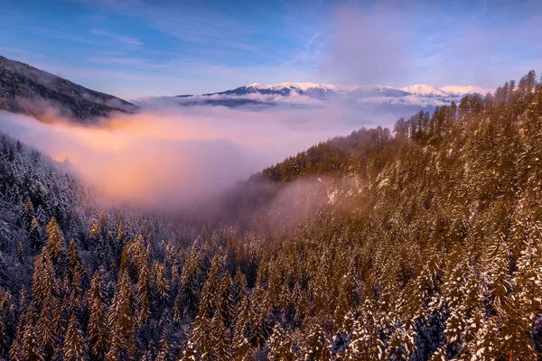 Färgsprakande solnedgång i snö berg skog — Stockfoto