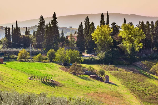 Toskánsko – krajina s vinicemi, Itálie — Stock fotografie