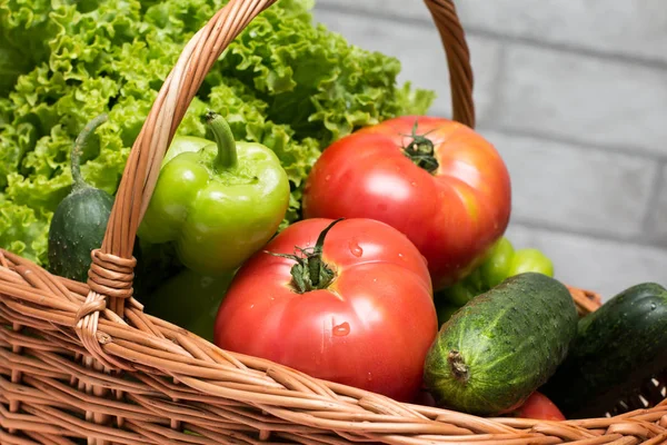 Sayuran segar dalam keranjang. Tomat, mentimun, lada dan selada — Stok Foto