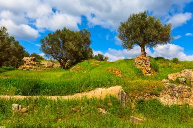 Antik Sparta harabeleri, Mora, Yunanistan