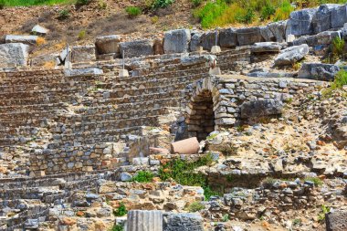 Türkiye 'nin Efes kentinin eski kalıntıları