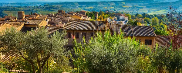 Paisaje toscano con viñedos, cipreses — Foto de Stock