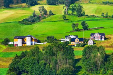 Norveç dağ köyü manzarası