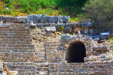 Türkiye 'nin Efes kentinin eski kalıntıları