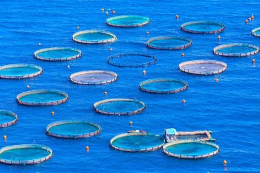 Yunanistan 'da yüzen kafesli balık çiftliği