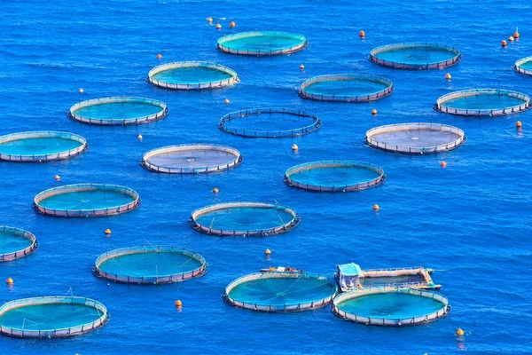 Piscicultura com gaiolas flutuantes na Grécia — Fotografia de Stock