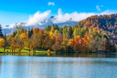 Bled gölü, sonbahar ağaçları ve dağlar, Slovenya