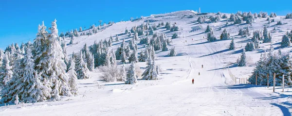 Panorama of slope at ski resort Kopaonik, Serbia — Stock Photo, Image