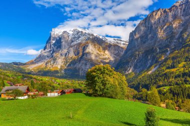 Grindelwald, İsviçre köyü ve dağların manzarası