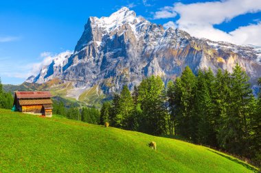Grindelwald, İsviçre köyü ve dağların manzarası