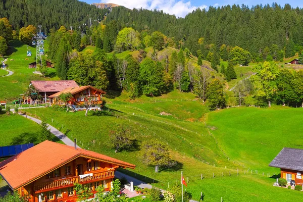 Grindelwald, Zwitserland dorp en bergen uitzicht — Stockfoto