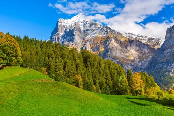 Grindelwald, Zwitserland vallei en uitzicht op de bergen — Stockfoto
