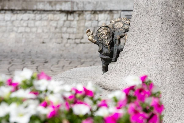 Wroclaw Polen Juni 2019 Zwergzwerg Mit Sonnenblume Der Nähe Von — Stockfoto